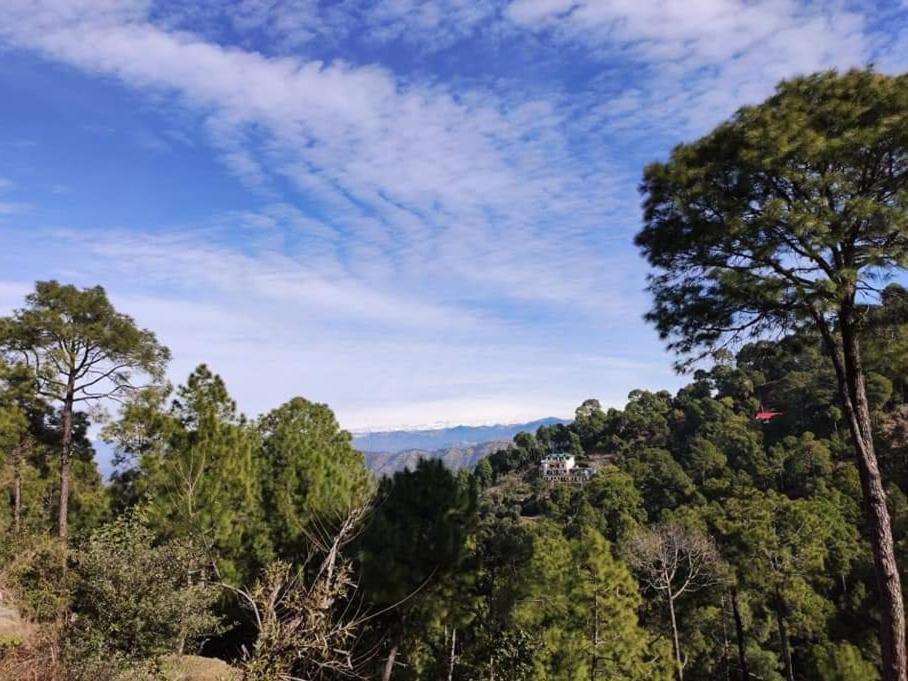 Bed and breakfast The Asgard Kasauli Extérieur photo